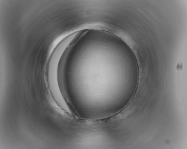 X0000091640960200709060935