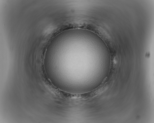 X0000091640961200709060934