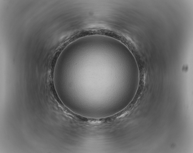 X0000091640965200709060934