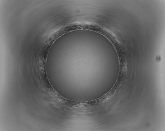 X0000091640966200709060934