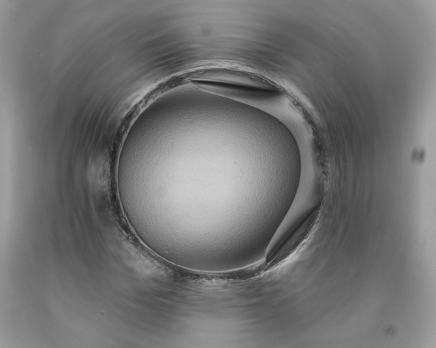 X0000091640969200709060934