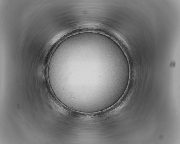 X0000091640970200709060934