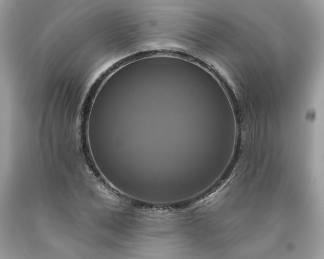 X0000091640975200709060934