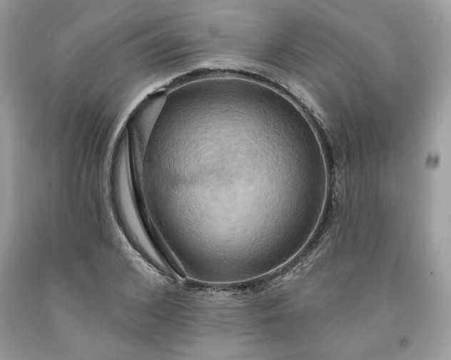 X0000091640976200709060934