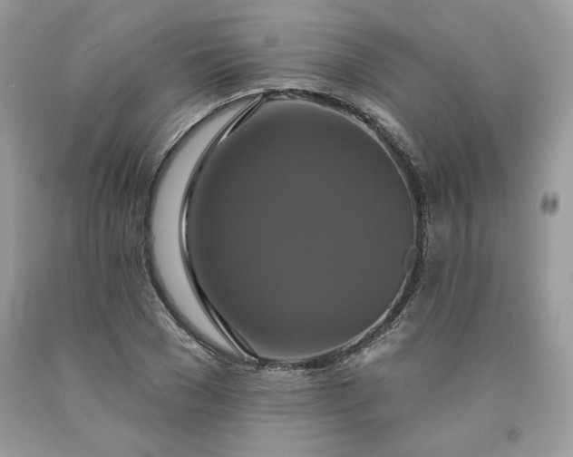 X0000091640977200709060934