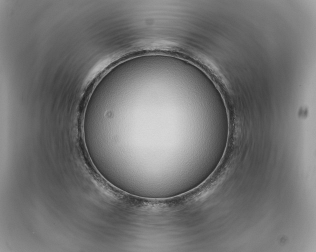 X0000091640978200709060934
