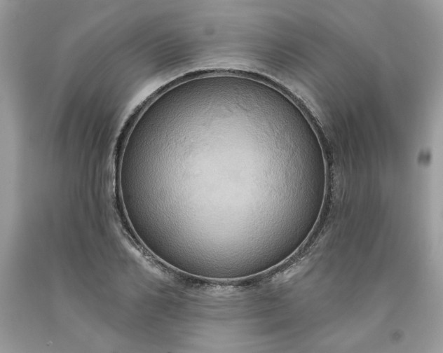X0000091640982200709060934
