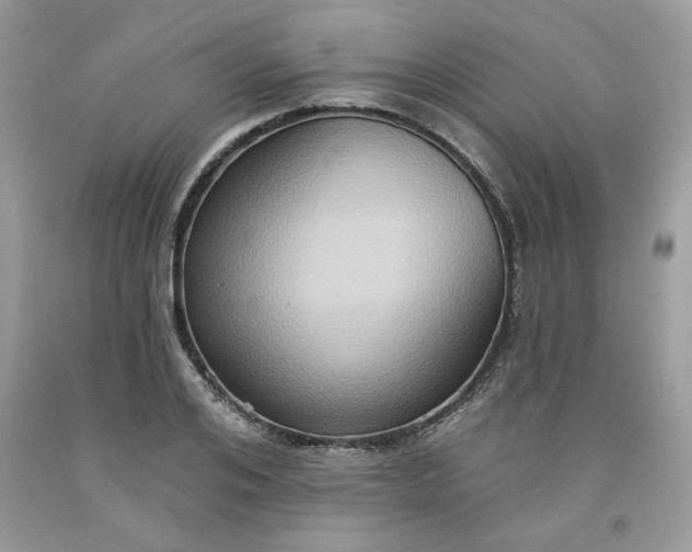 X0000091640984200709060934