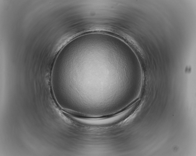 X0000091640985200709060934