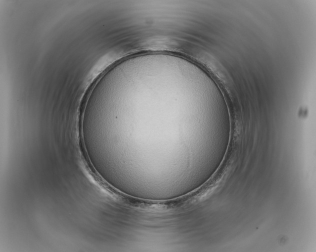 X0000091640986200709060934