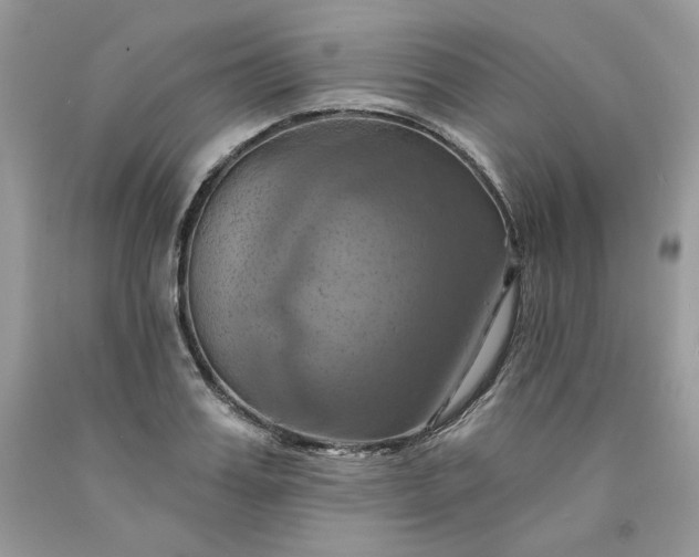 X0000091640987200709060934