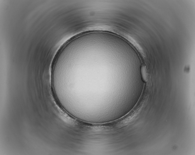 X0000091640988200709060934