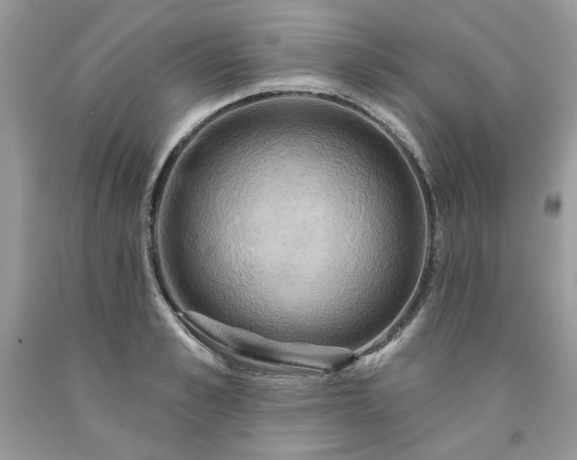 X0000091640989200709060934