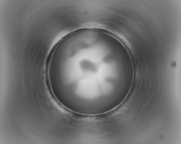 X0000091640990200709060934