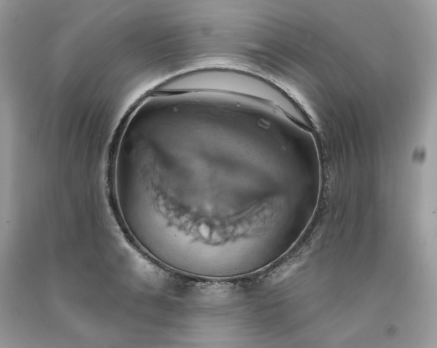 X0000091640991200709060934