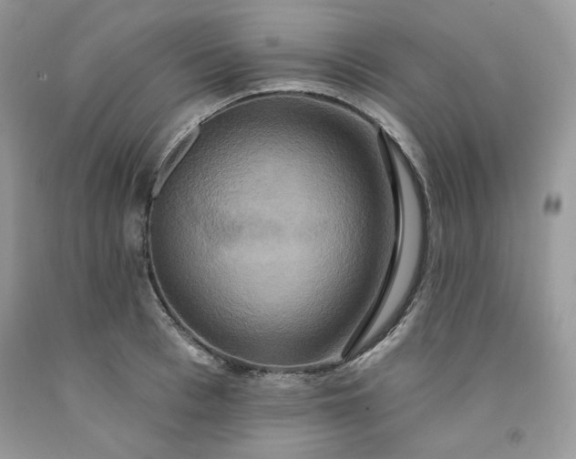 X0000091640993200709060934