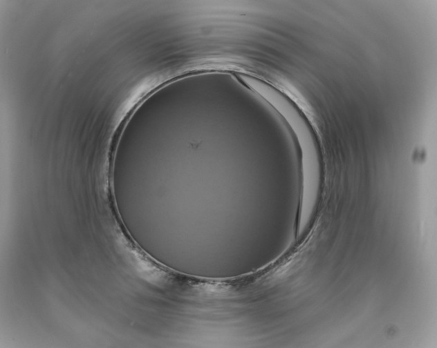 X0000091640994200709060933