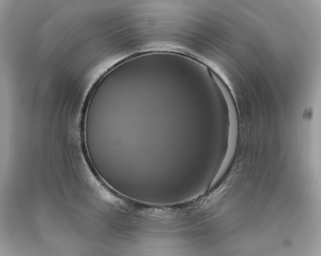 X0000091640995200709060933