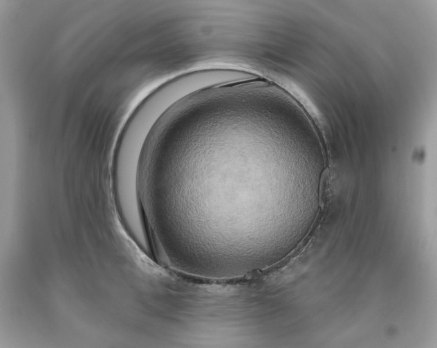 X0000091640996200709060933