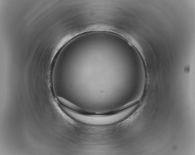 X0000091640997200709060933