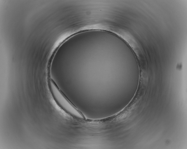 X0000091640998200709060933