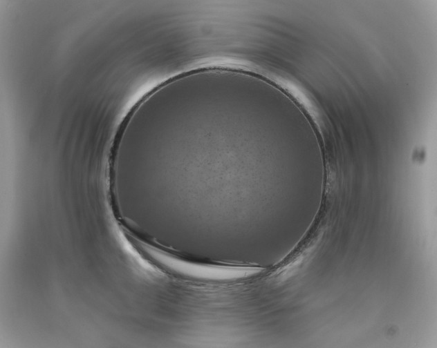 X0000091640999200709060933