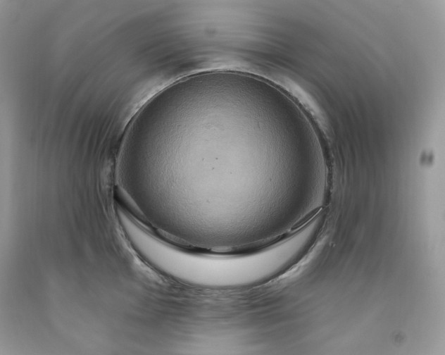 X0000091641001200709060933