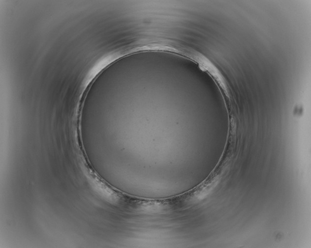 X0000091641002200709060933
