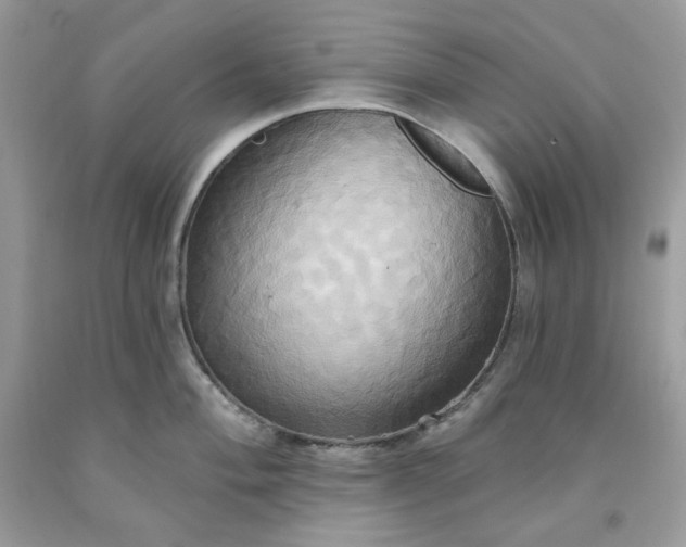 X0000091641004200709060933