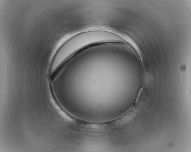 X0000091641005200709060933