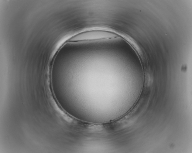 X0000091641006200709060933
