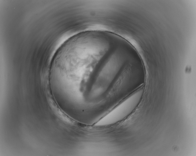 X0000091641008200709060933