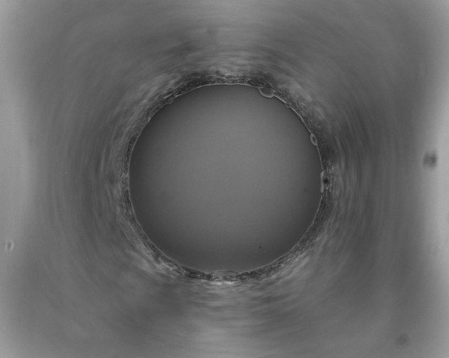 X0000091641009200709060933