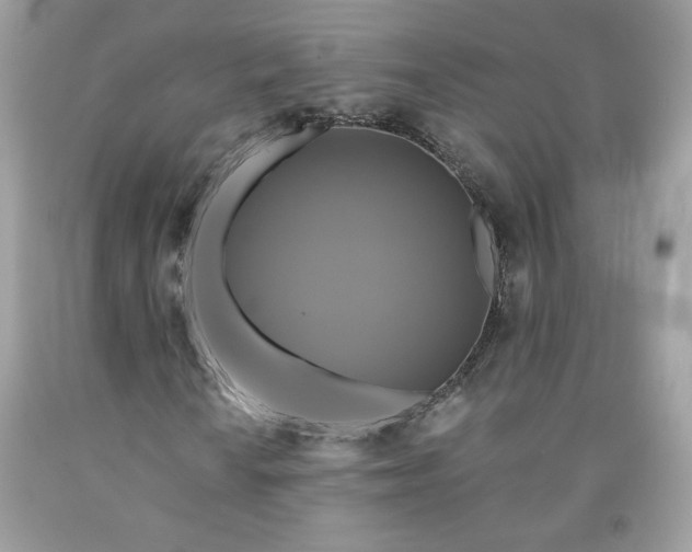 X0000091641010200709060933