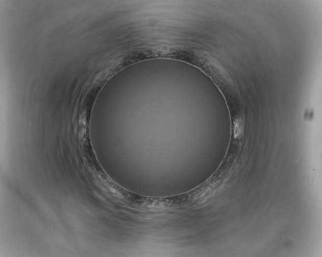 X0000091641011200709060933