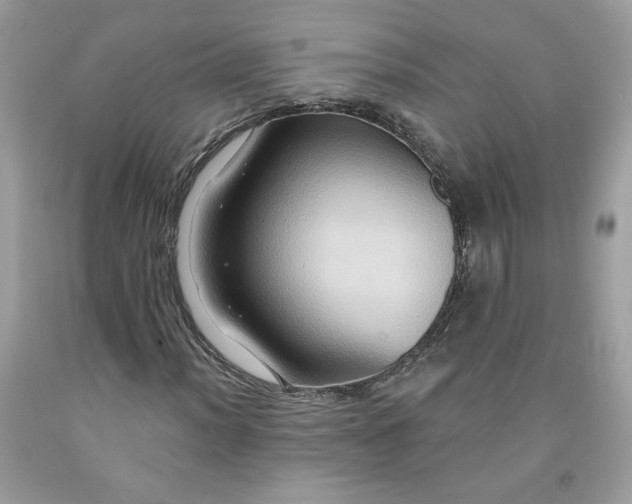 X0000091641012200709060933