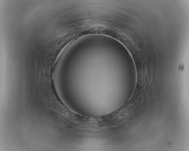 X0000091641013200709060933