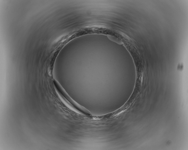 X0000091641014200709060933