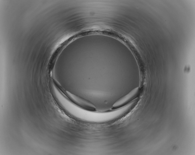 X0000091641018200709060933
