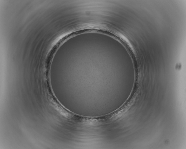X0000091641019200709060933