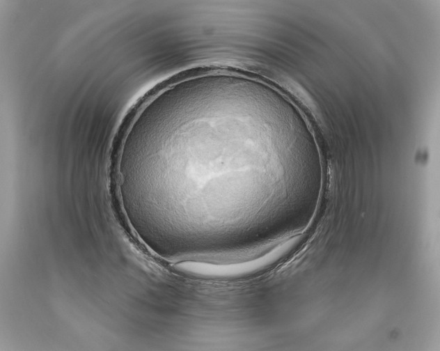 X0000091641020200709060933
