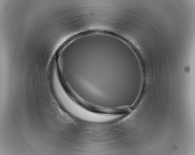 X0000091641022200709060933