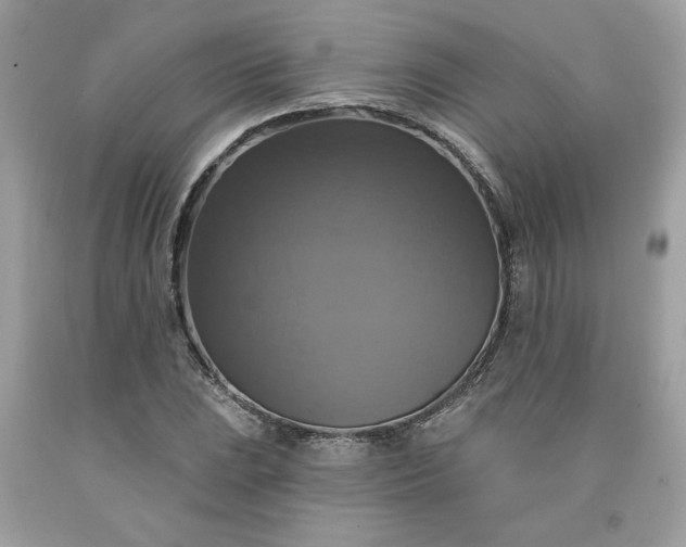 X0000091641023200709060933
