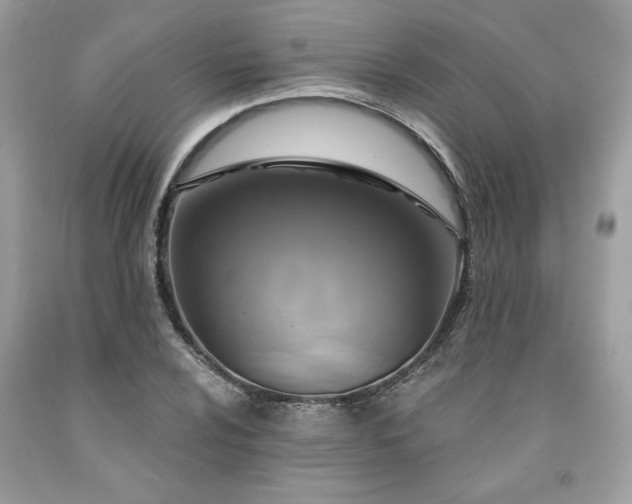 X0000091641024200709060933