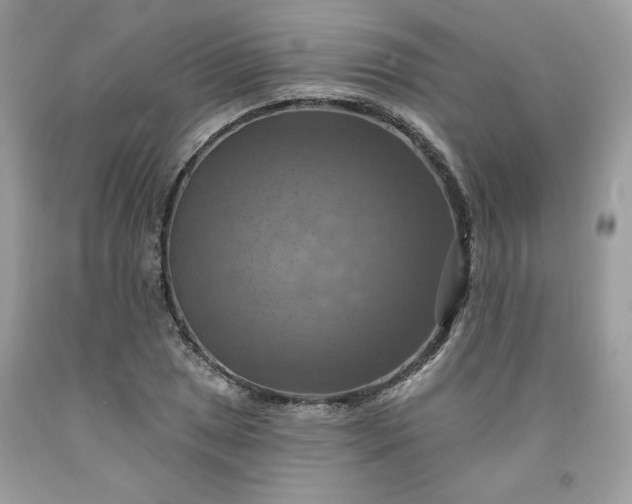 X0000091641025200709060933