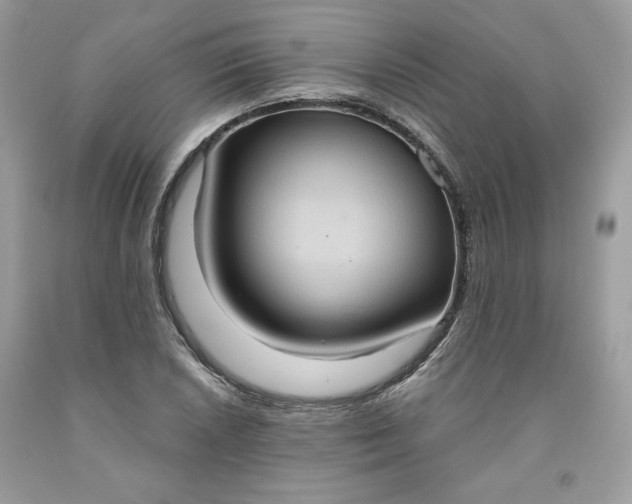 X0000091641026200709060933