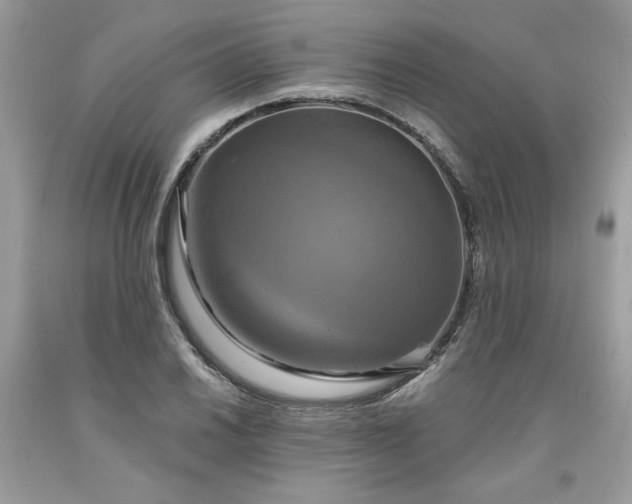 X0000091641030200709060933