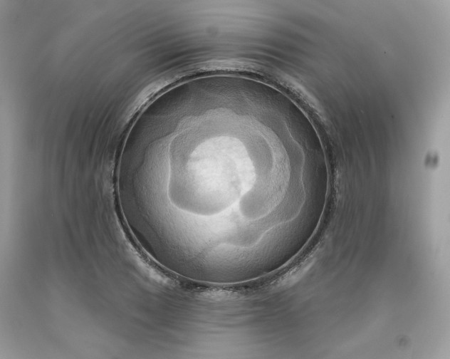 X0000091641033200709060933
