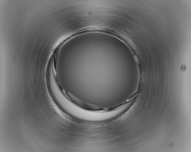 X0000091641034200709060933
