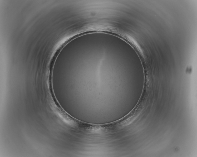 X0000091641035200709060933